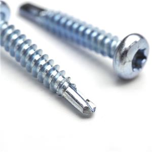 Pan Head Torx Drive Self drilling Screw