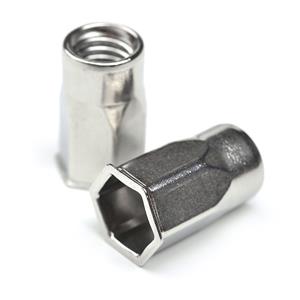 Reduce Head Half Hex Body Stainless Steel Rivet Nut