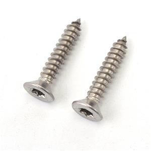 Torx Countersunk Head Self Tapping Screw